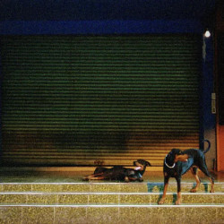 OVERMONO - PURE DEVOTION - 1LP
