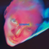 Fontaines D.C. – Dopamine Chamber - 1LP