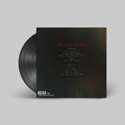 Queens of the Stone Age – Perfecth - 1LP