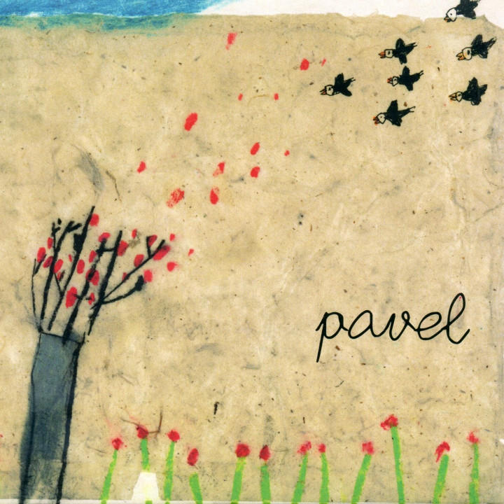 PAVEL - PAVEL