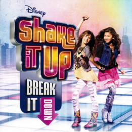 VARIOUS ARTISTS - SHAKE IT UP (eastern europe ver.)