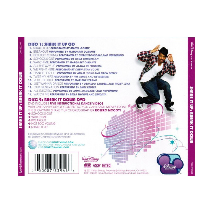 VARIOUS ARTISTS - SHAKE IT UP (eastern europe ver.)