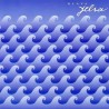 KLAPA JELSA - KLAPA JELSA