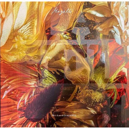 Mr. Lee & IvaneSky - Magelli - LP