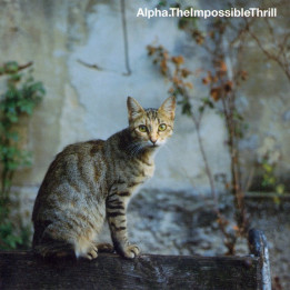 ALPHA  - THE IMOPOSSIBLE THRILL - 1CD