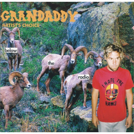 GRANDADDY - BELOW THE RADIO - 1CD