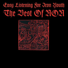 NON CD EASY - EASY LISTENING FOR IRON YOUTH - 1CD